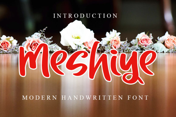 Meshiye: A Playful Display Font for Makers
