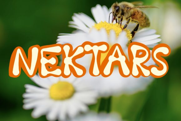 Nektars: A Bold Display Font for Your Brand